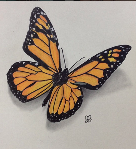 Art Galleries - Monarch Butterfly - 108956